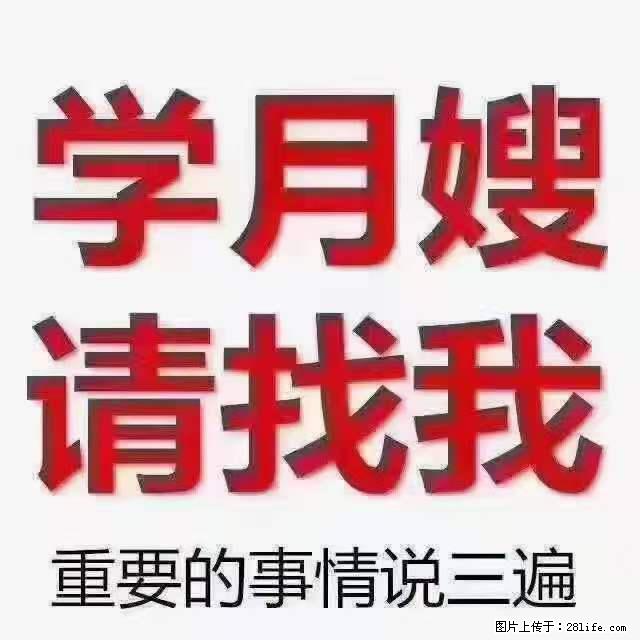 为什么要学习月嫂，育婴师？ - 新手上路 - 巴中生活社区 - 巴中28生活网 bazhong.28life.com