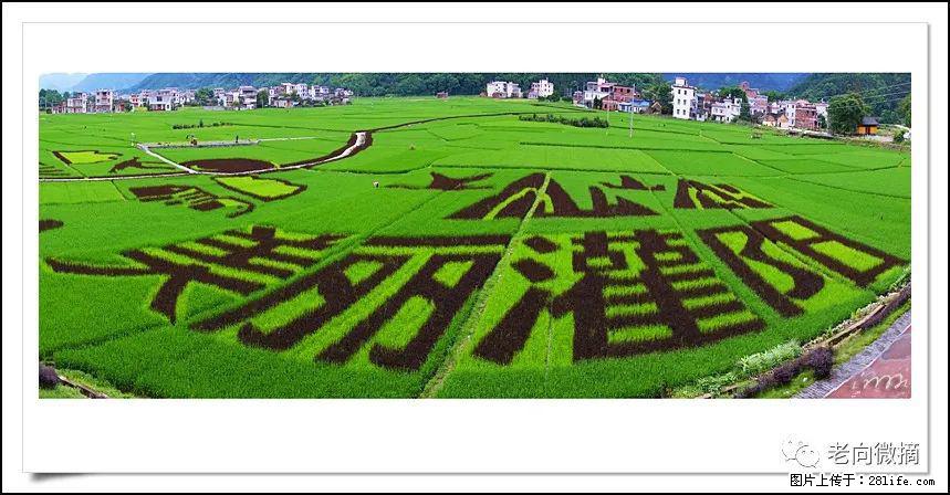 【春天,广西桂林灌阳县向您发出邀请!】开篇 - 游山玩水 - 巴中生活社区 - 巴中28生活网 bazhong.28life.com