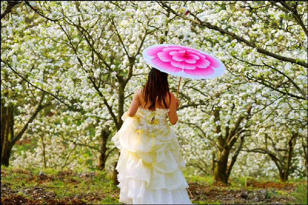 【春天,广西桂林灌阳县向您发出邀请!】我们在灌阳看梨花 - 游山玩水 - 巴中生活社区 - 巴中28生活网 bazhong.28life.com