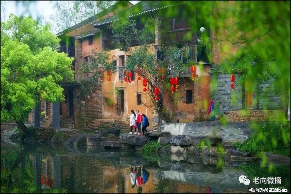 【春天,广西桂林灌阳县向您发出邀请!】江口老街又逢春 - 游山玩水 - 巴中生活社区 - 巴中28生活网 bazhong.28life.com