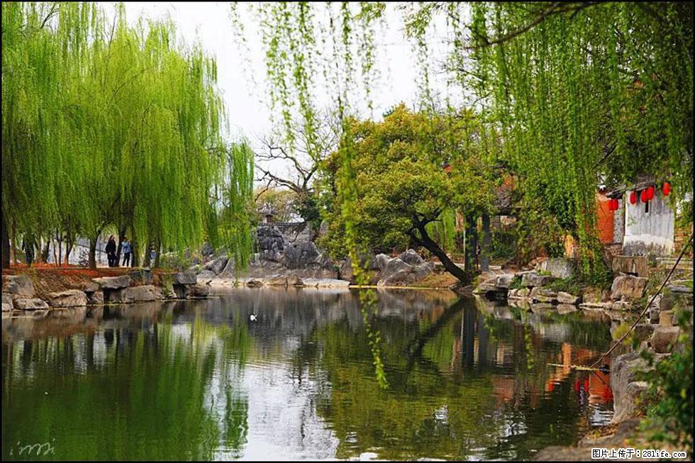 【春天,广西桂林灌阳县向您发出邀请!】江口老街又逢春 - 游山玩水 - 巴中生活社区 - 巴中28生活网 bazhong.28life.com