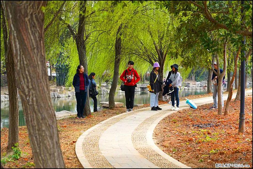 【春天,广西桂林灌阳县向您发出邀请!】江口老街又逢春 - 游山玩水 - 巴中生活社区 - 巴中28生活网 bazhong.28life.com