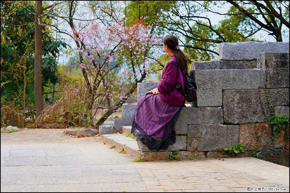 【春天,广西桂林灌阳县向您发出邀请!】江口老街又逢春 - 游山玩水 - 巴中生活社区 - 巴中28生活网 bazhong.28life.com