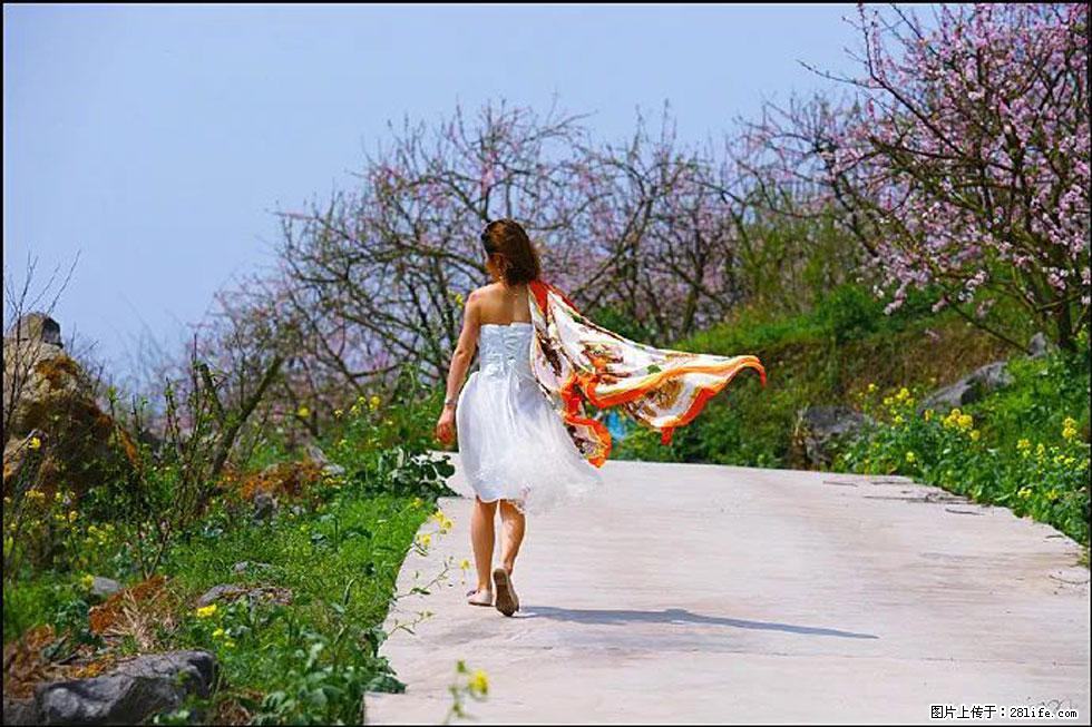 【春天,广西桂林灌阳县向您发出邀请!】望月岭上桃花开 - 游山玩水 - 巴中生活社区 - 巴中28生活网 bazhong.28life.com