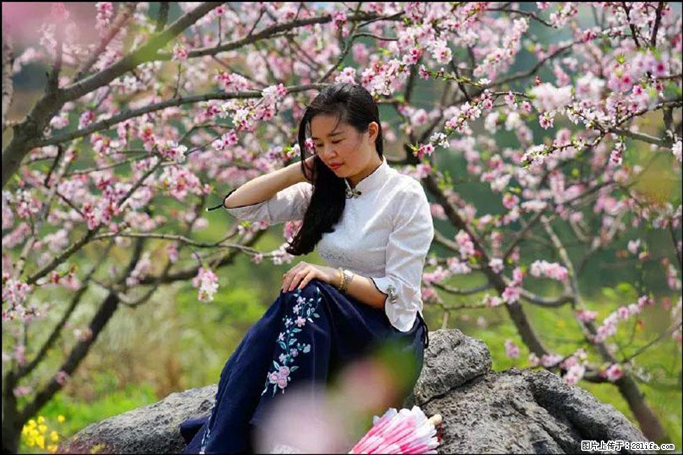 【春天,广西桂林灌阳县向您发出邀请!】望月岭上桃花开 - 游山玩水 - 巴中生活社区 - 巴中28生活网 bazhong.28life.com