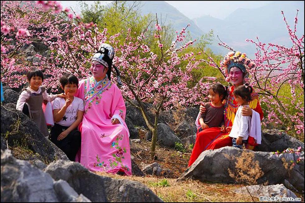 【春天,广西桂林灌阳县向您发出邀请!】望月岭上桃花开 - 游山玩水 - 巴中生活社区 - 巴中28生活网 bazhong.28life.com