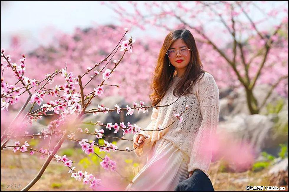 【春天,广西桂林灌阳县向您发出邀请!】望月岭上桃花开 - 游山玩水 - 巴中生活社区 - 巴中28生活网 bazhong.28life.com