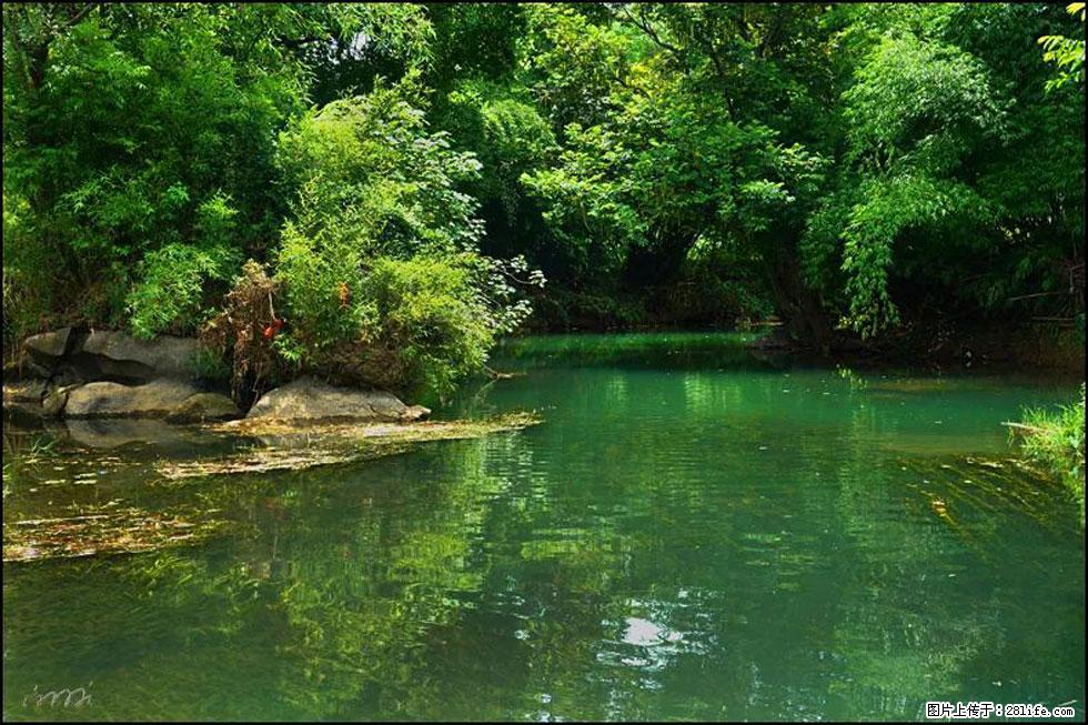 【春天,广西桂林灌阳县向您发出邀请!】如梦似幻莲溪庐 - 游山玩水 - 巴中生活社区 - 巴中28生活网 bazhong.28life.com