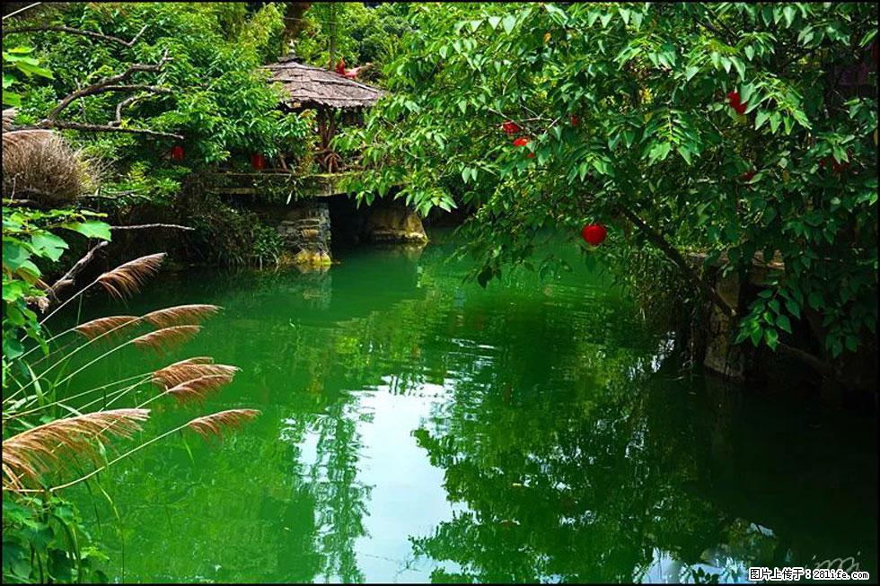 【春天,广西桂林灌阳县向您发出邀请!】如梦似幻莲溪庐 - 游山玩水 - 巴中生活社区 - 巴中28生活网 bazhong.28life.com