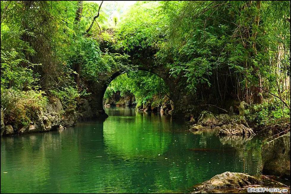 【春天,广西桂林灌阳县向您发出邀请!】如梦似幻莲溪庐 - 游山玩水 - 巴中生活社区 - 巴中28生活网 bazhong.28life.com