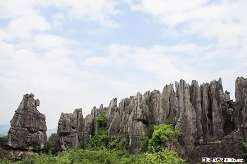 桂林旅游名城景点:灌阳文市石林 - 游山玩水 - 巴中生活社区 - 巴中28生活网 bazhong.28life.com
