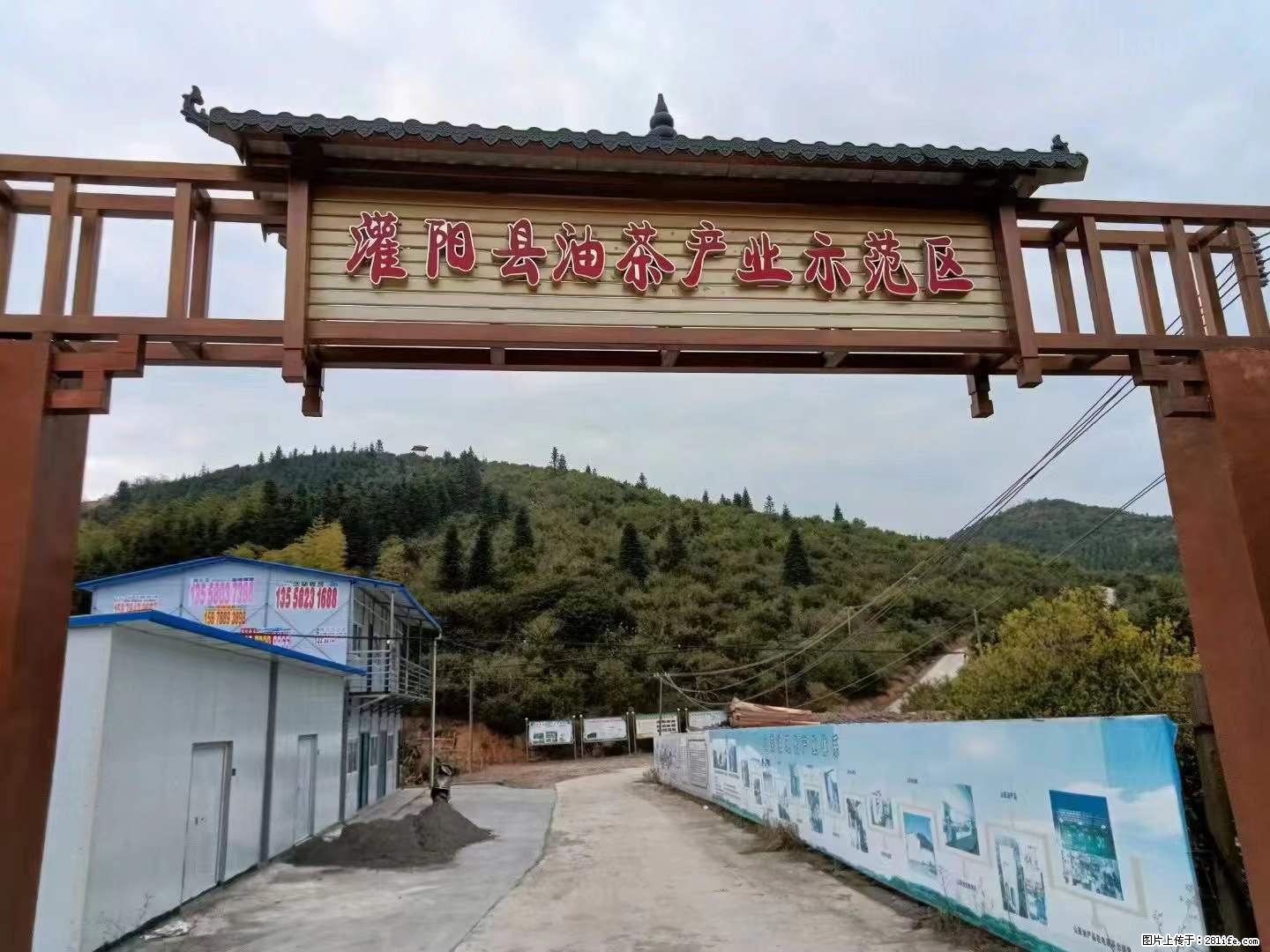 【灌阳县油茶产业示范区】一个有着充实的精神生活的人,对待身外之物自会有一种淡泊的态度 - 美食天地 - 巴中生活社区 - 巴中28生活网 bazhong.28life.com