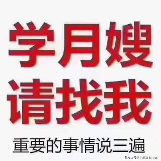 为什么要学习月嫂，育婴师？ - 巴中28生活网 bazhong.28life.com