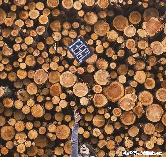 辞掉工作周游世界?现在他们在洗厕所…… - 游山玩水 - 巴中生活社区 - 巴中28生活网 bazhong.28life.com