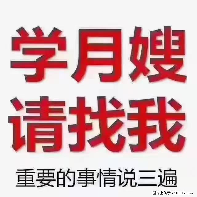 【招聘】月嫂，上海徐汇区 - 职场交流 - 巴中生活社区 - 巴中28生活网 bazhong.28life.com