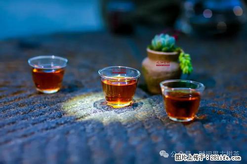 时间果百年古树2025年春红茶 - 购物交流 - 巴中生活社区 - 巴中28生活网 bazhong.28life.com