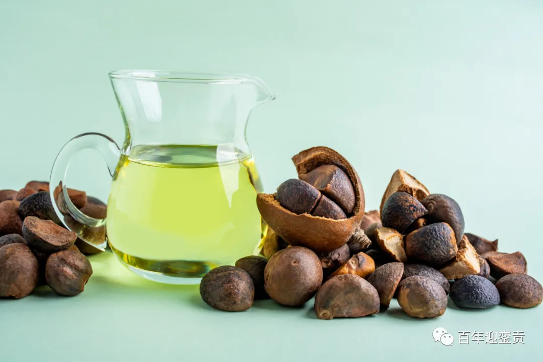 世界没有真相,只有认知,最好的食用油是中国的山茶油! - 巴中生活资讯 - 巴中28生活网 bazhong.28life.com