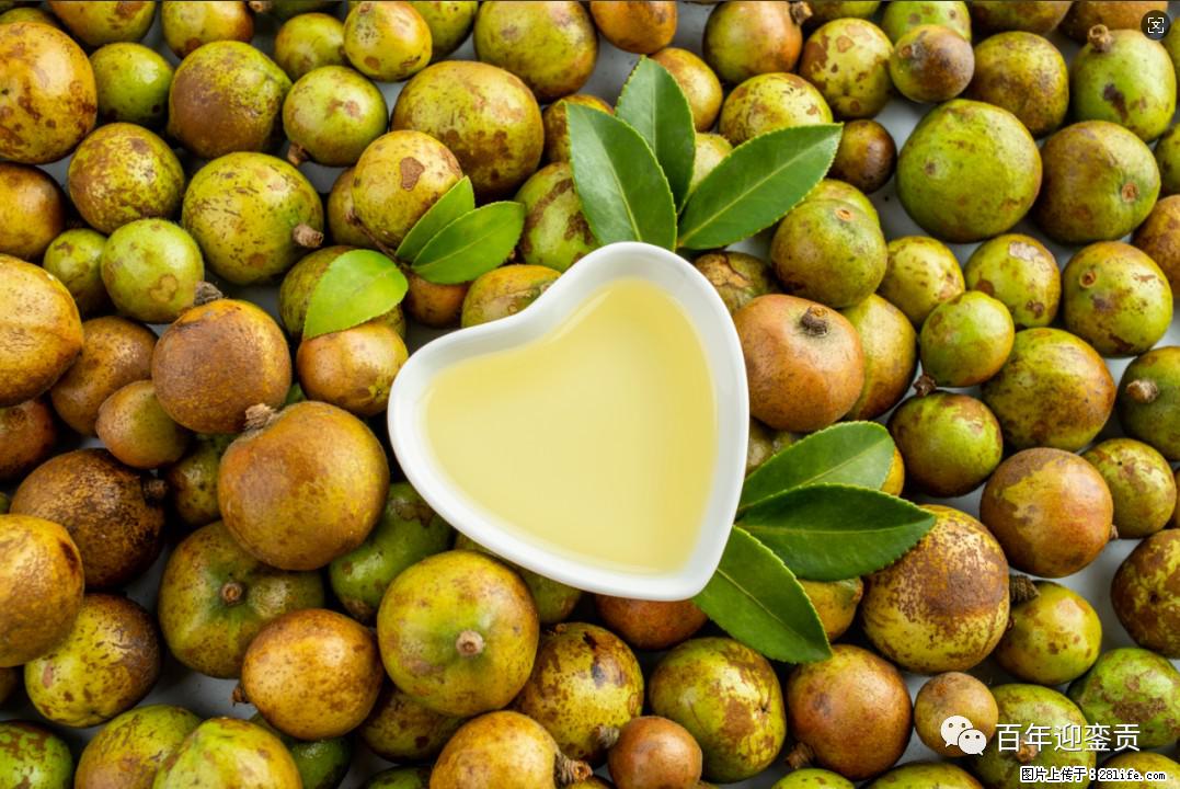 世界没有真相,只有认知,最好的食用油是中国的山茶油! - 巴中生活资讯 - 巴中28生活网 bazhong.28life.com