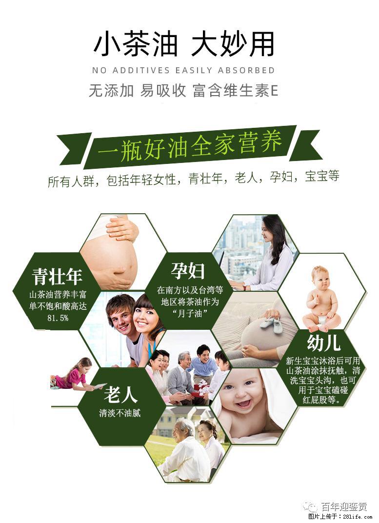 世界没有真相,只有认知,最好的食用油是中国的山茶油! - 巴中生活资讯 - 巴中28生活网 bazhong.28life.com