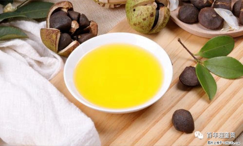 世界没有真相,只有认知,最好的食用油是中国的山茶油! - 巴中生活资讯 - 巴中28生活网 bazhong.28life.com