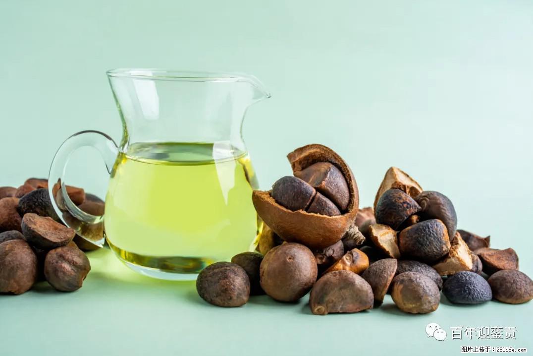 世界没有真相,只有认知,最好的食用油是中国的山茶油! - 巴中生活资讯 - 巴中28生活网 bazhong.28life.com