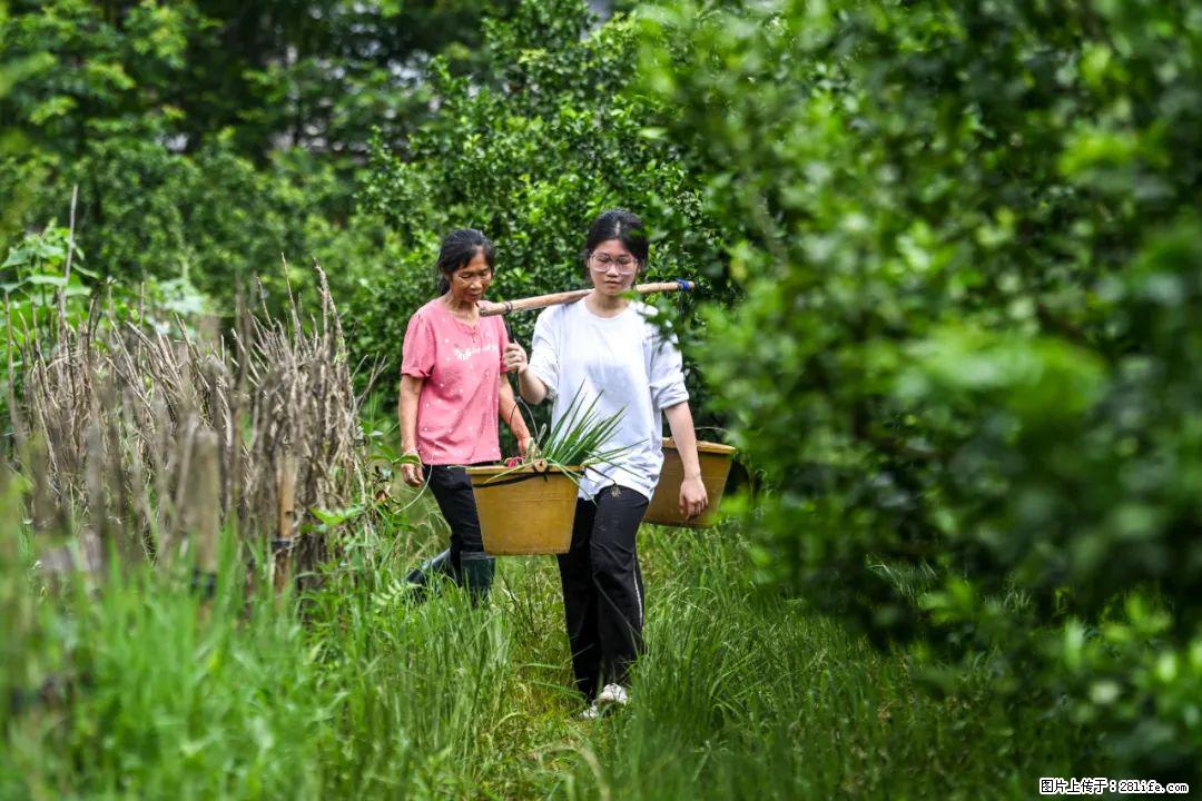 全网追的“扁担女孩”,找了一份暑假工,时薪12元 - 巴中生活资讯 - 巴中28生活网 bazhong.28life.com