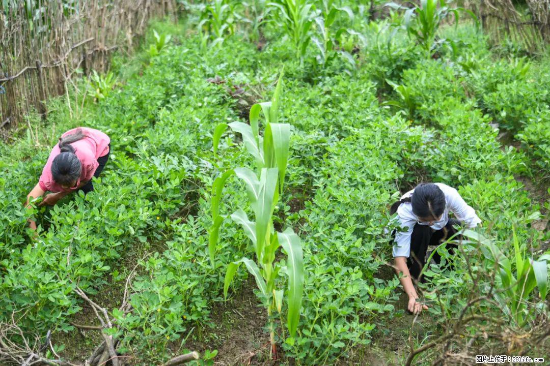 全网追的“扁担女孩”,找了一份暑假工,时薪12元 - 巴中生活资讯 - 巴中28生活网 bazhong.28life.com
