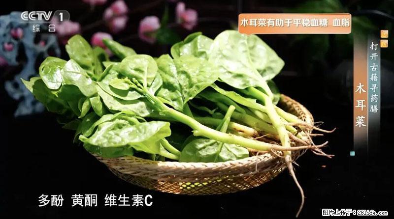 比牛奶补钙还厉害!凉血解毒、稳血糖...这菜冬天必吃,很多人却当草 - 巴中生活资讯 - 巴中28生活网 bazhong.28life.com
