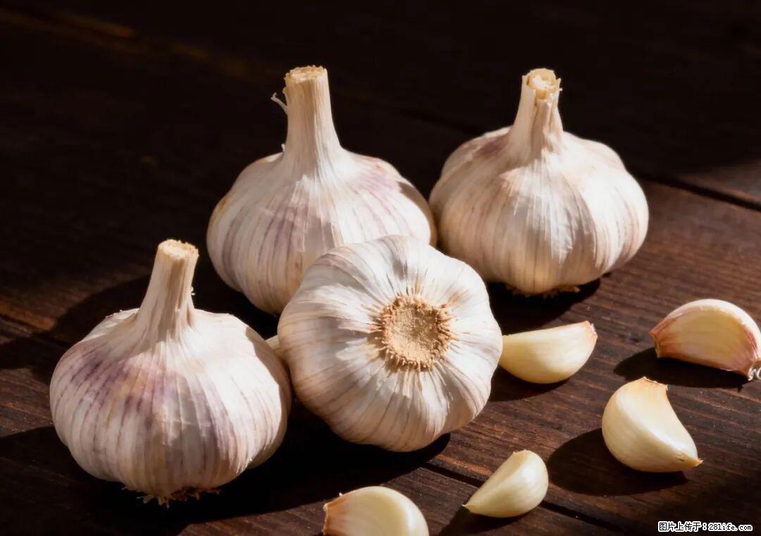 关于大蒜，除了“天然抗生素”，这4个谣言更该警惕! - 巴中生活资讯 - 巴中28生活网 bazhong.28life.com