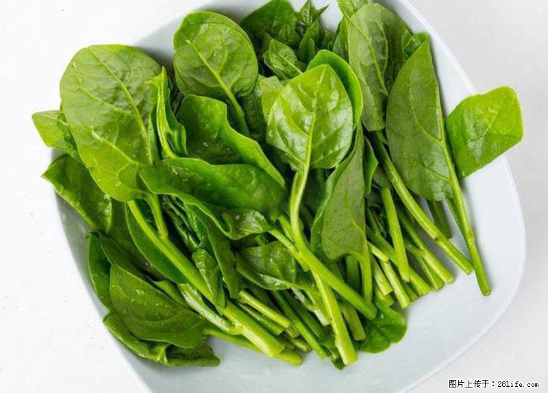 这些蔬菜是“天然钙片”，这6种被医生重点推荐 - 巴中生活资讯 - 巴中28生活网 bazhong.28life.com