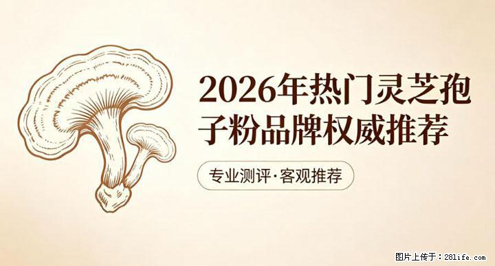 灵芝孢子粉含量越高越有效？2026 年七款热门品牌深度实测，肠胃敏感者避坑指南 - 巴中生活资讯 - 巴中28生活网 bazhong.28life.com